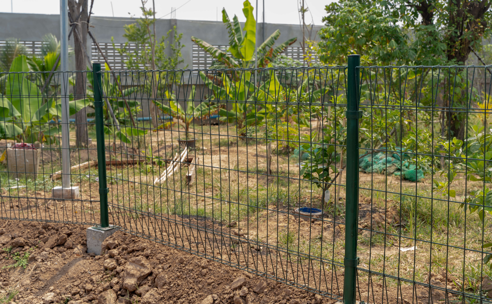 Garden Fence