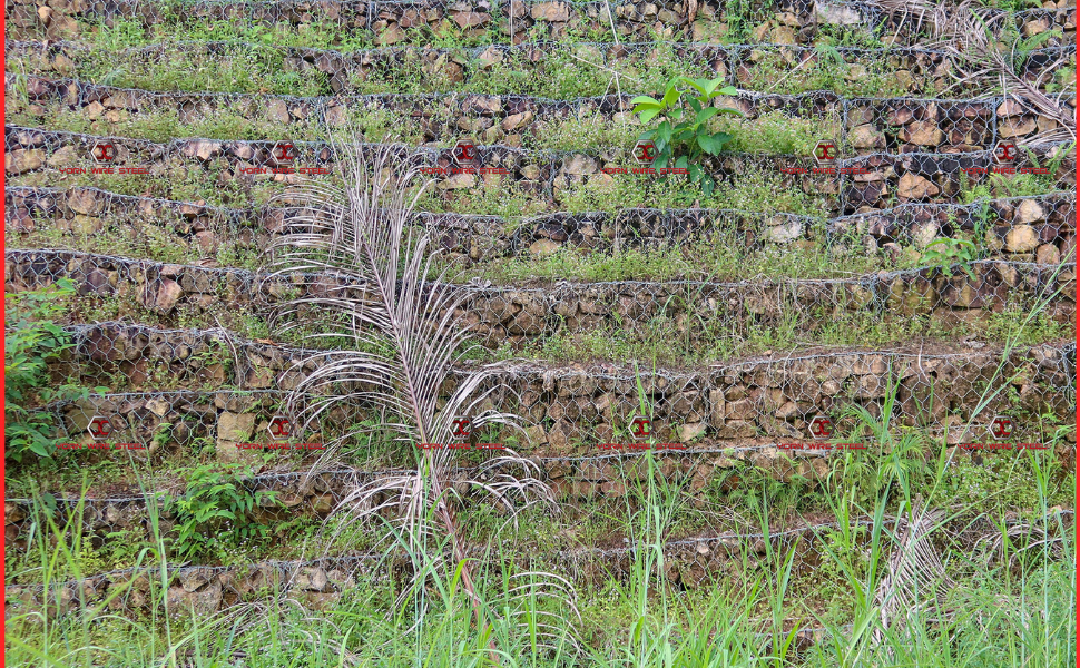 4 Years of Proven Strength